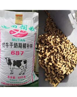 奶牛干奶期精补料687